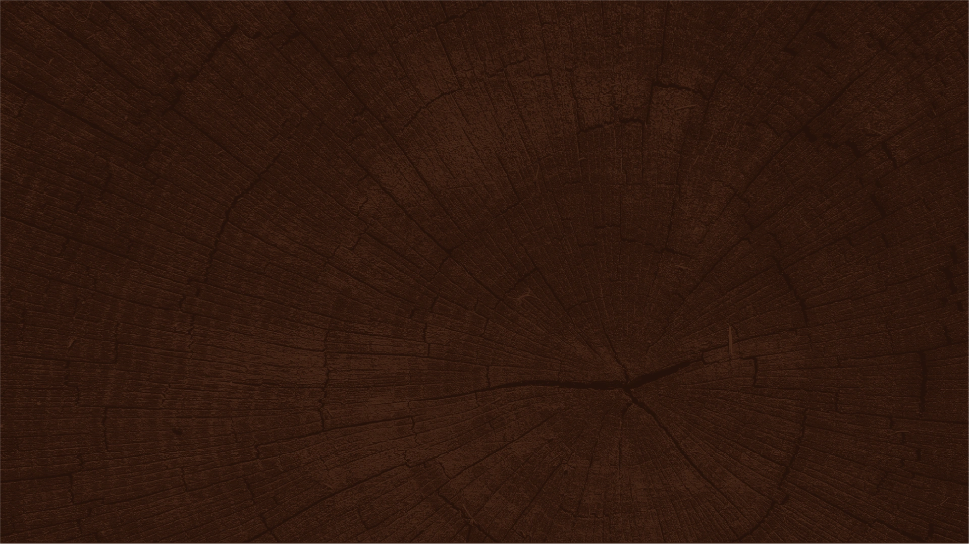 The Forest Convention Center